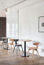 画像をギャラリービューアに読み込む, KONTOS
